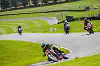 cadwell-no-limits-trackday;cadwell-park;cadwell-park-photographs;cadwell-trackday-photographs;enduro-digital-images;event-digital-images;eventdigitalimages;no-limits-trackdays;peter-wileman-photography;racing-digital-images;trackday-digital-images;trackday-photos